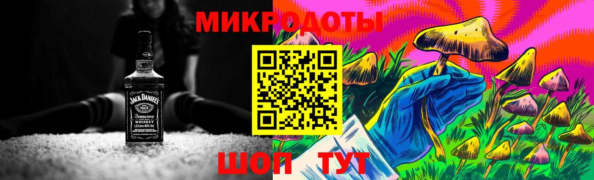 Псилоцибиновые грибы Cubensis Сертолово