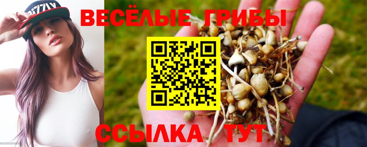 купить закладку  Галлюциногенные грибы Magic Shrooms  Псилоцибиновые грибы мицелий  Вход с VPN  Сертолово 