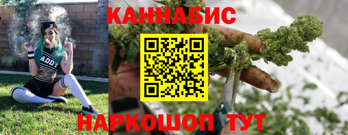 Каннабис OG Kush Сертолово